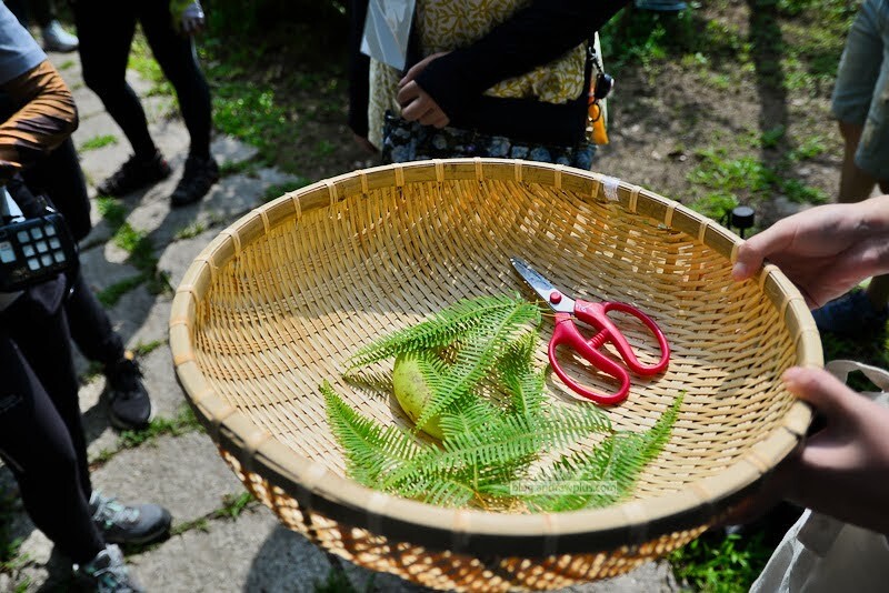 雙溪景點,雙溪好吃,雙溪自行車