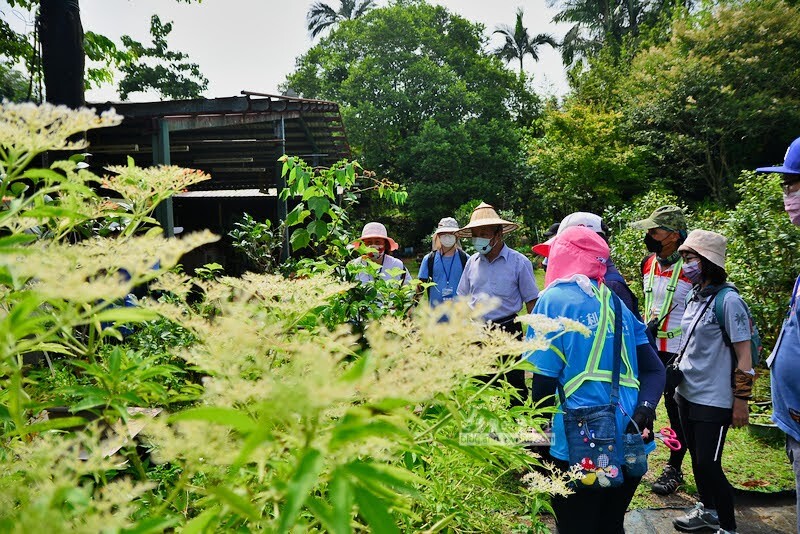 雙溪景點,雙溪好吃,雙溪自行車