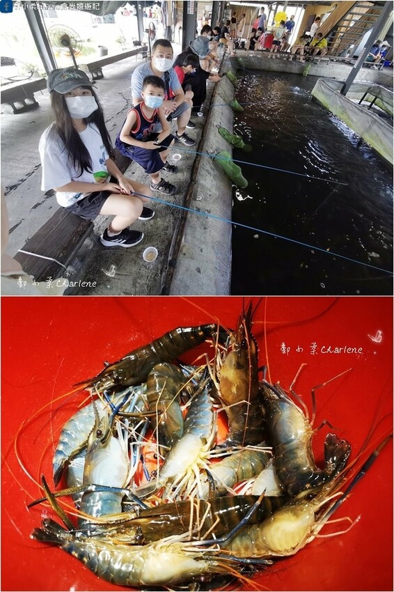 宜蘭頭城|蘭陽蟹莊+蜜月灣-龜山島海景第一排.第一次野營+車宿.第15露|車尾帳.淋浴廁所帳篷.淋浴高壓瓶.攜帶