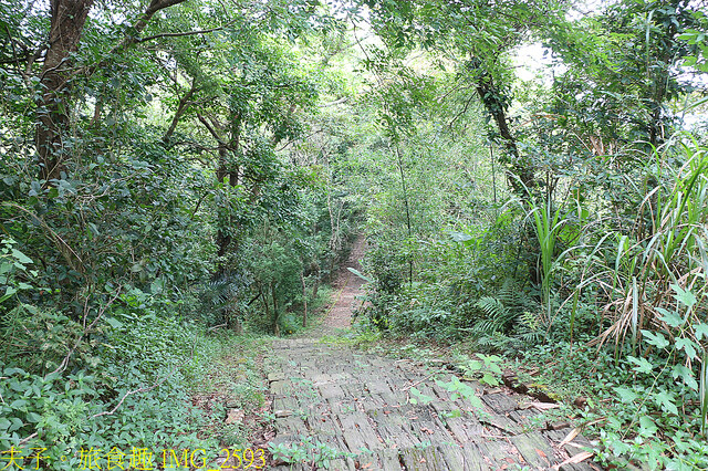 IMG_2593.jpg - 苗栗三灣老銃櫃步道 22020815