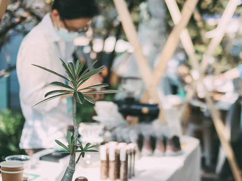 2022 新竹夏日祭典。透明祭。透明大百科