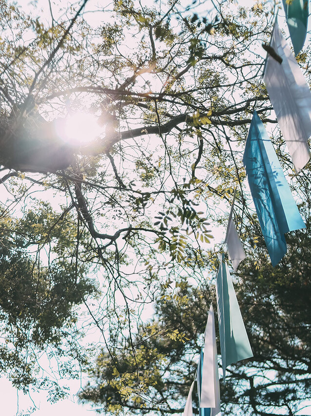 2022 新竹夏日祭典。透明祭。透明大百科