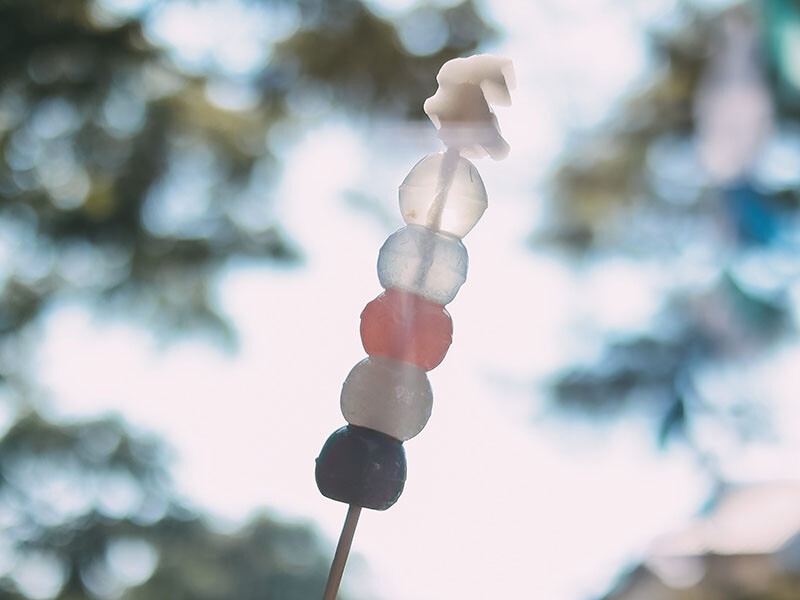 2022 新竹夏日祭典。透明祭。透明大百科