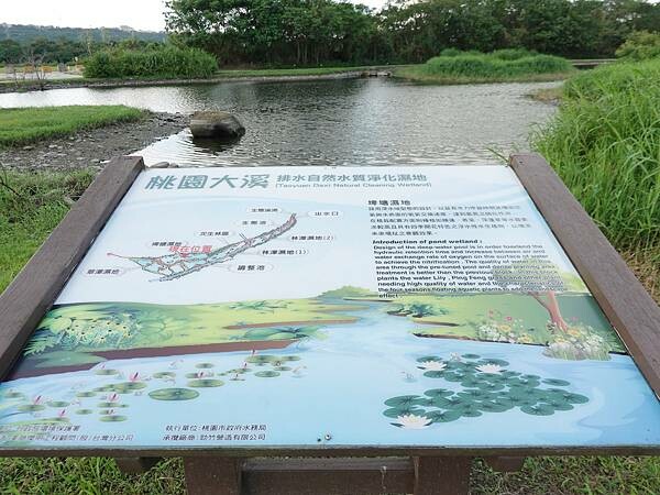 大溪-月眉人工生態濕地 (4).JPG