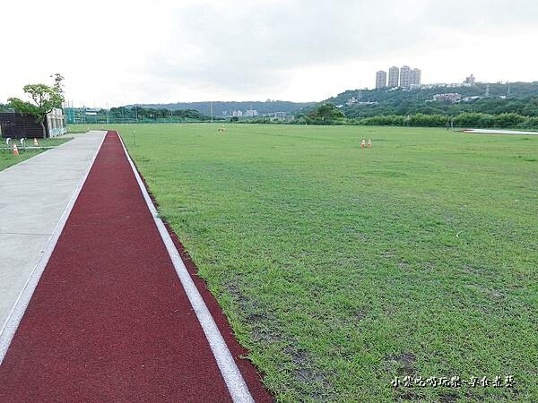 大漢溪多功能草皮運動公園 (2).jpg