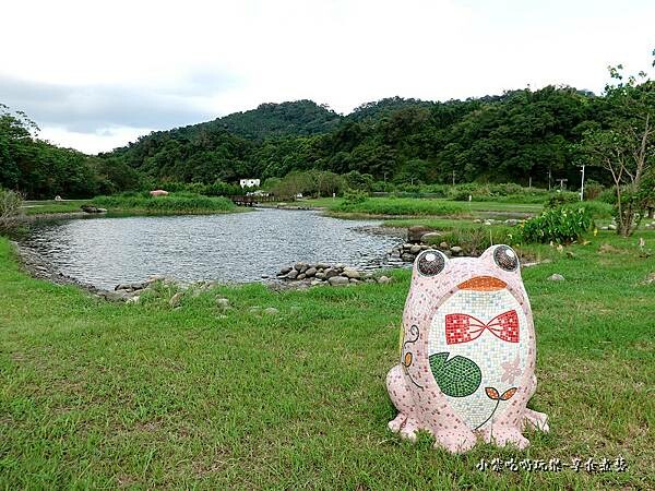 E2粉福蛙-月眉人工生態濕地.jpg