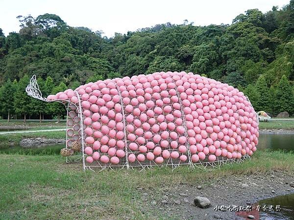 E9粉紅泡泡-月眉人工生態濕地 (1).jpg