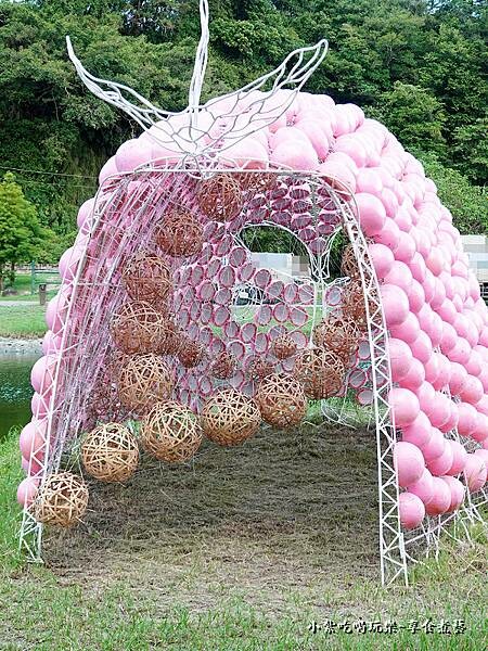 E9粉紅泡泡-月眉人工生態濕地 (5).jpg