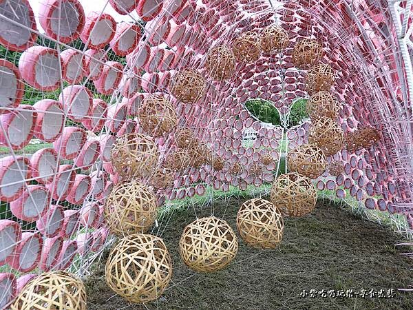 E9粉紅泡泡-月眉人工生態濕地 (6).jpg