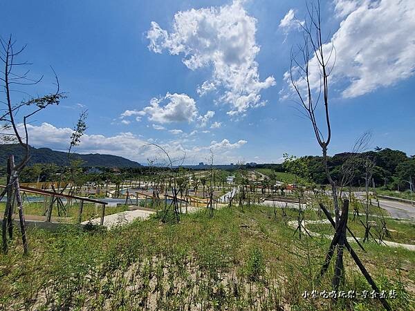 景觀土丘-大嵙崁親水園區 (3).jpg 景觀土丘-大嵙崁親水園區 (3).jpg