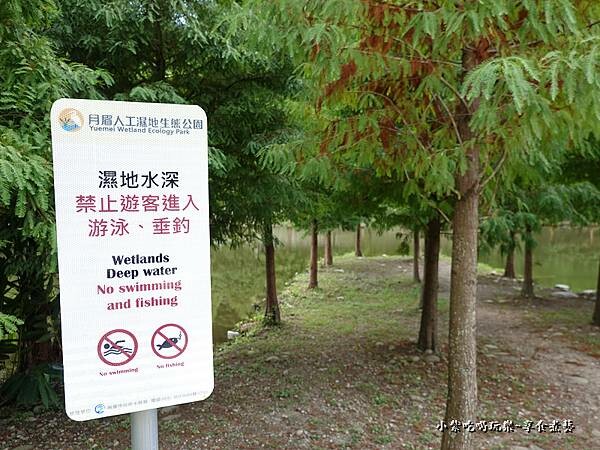 2022年9月落羽松林-月眉人工生態濕地 (3).jpg