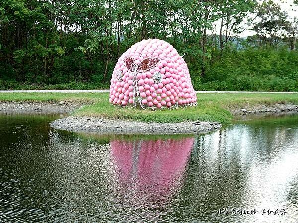 E9粉紅泡泡-月眉人工生態濕地 (3).jpg