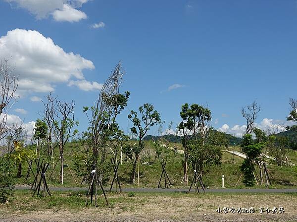 景觀土丘-大嵙崁親水園區 (6).jpg 景觀土丘-大嵙崁親水園區 (6).jpg