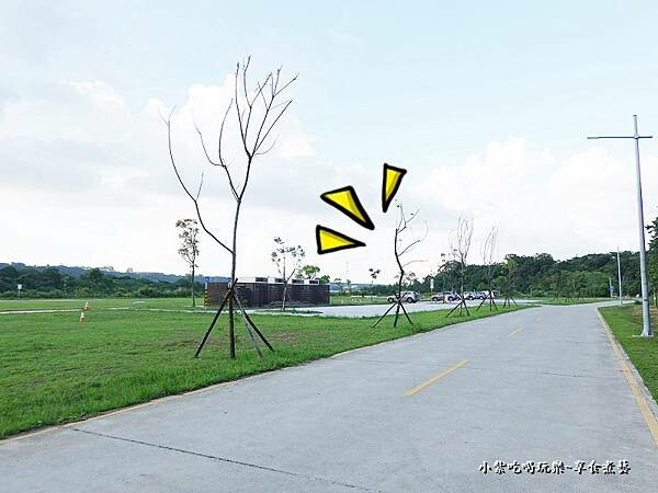 大漢溪多功能草皮運動公園旁停車場 (2).jpg