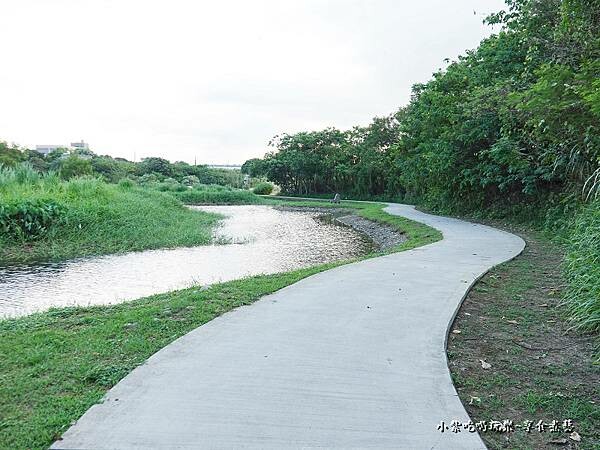 大溪-月眉人工生態濕地 (3).jpg