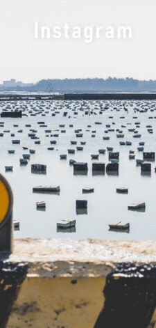 買菜沒時間？就上 i 3 Fresh 愛上新鮮，宅配24H到貨！