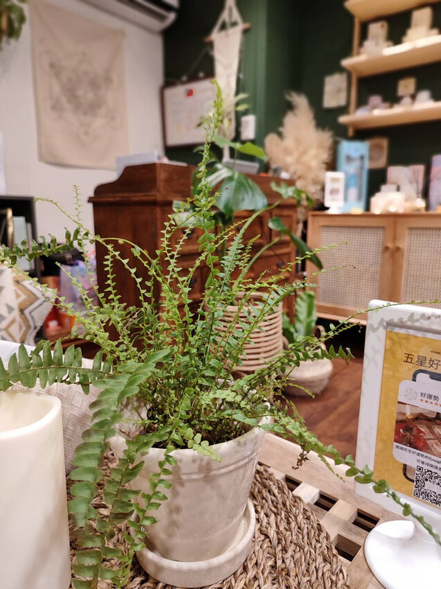 2lucky22_068.jpg 2lucky22_068.jpg