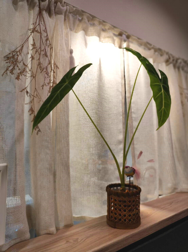 2lucky22_064.jpg 2lucky22_064.jpg