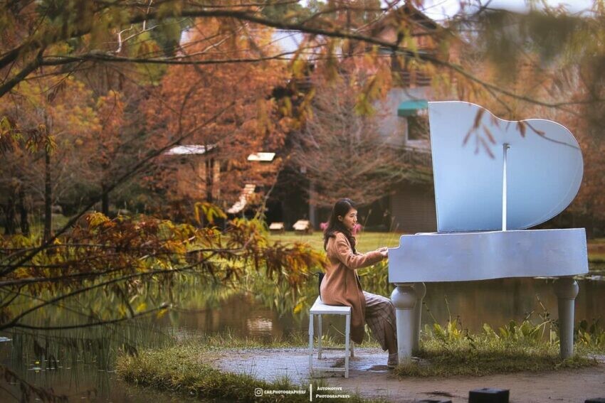 南莊雲水渡假森林