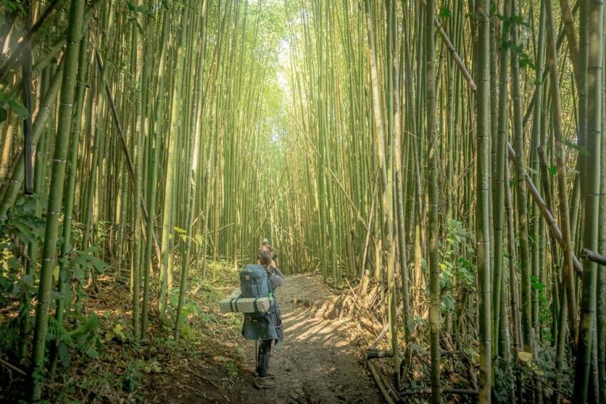 新竹登山步道/霞喀羅國家步道/竹林步道