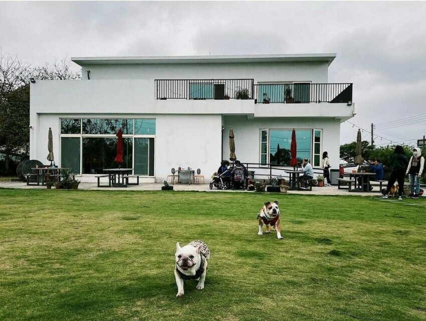 新竹雨天備案|Deer Nana Cafe|寵物友善餐廳