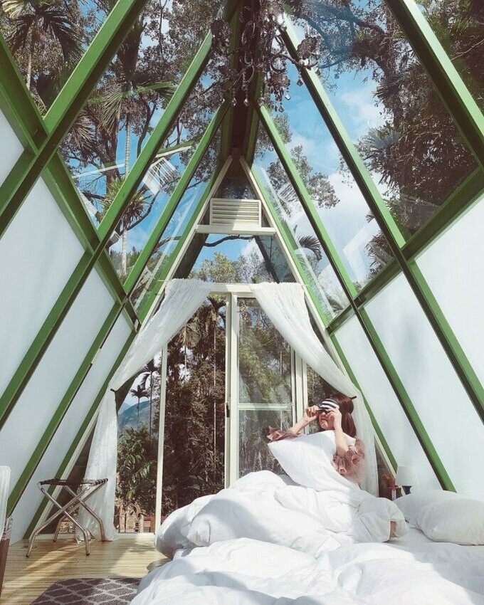 阿里山民宿推薦|Hamoana 星空帳篷露營地