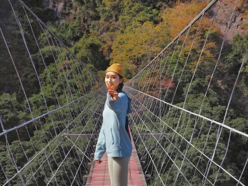 新竹登山步道/霞喀羅國家步道/竹林步道/賞楓/楓葉