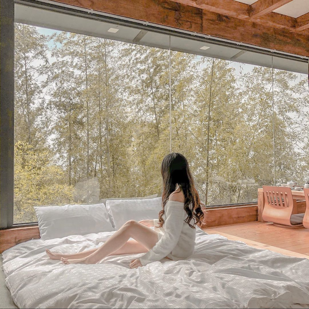 阿里山民宿推薦|京岄山居民宿