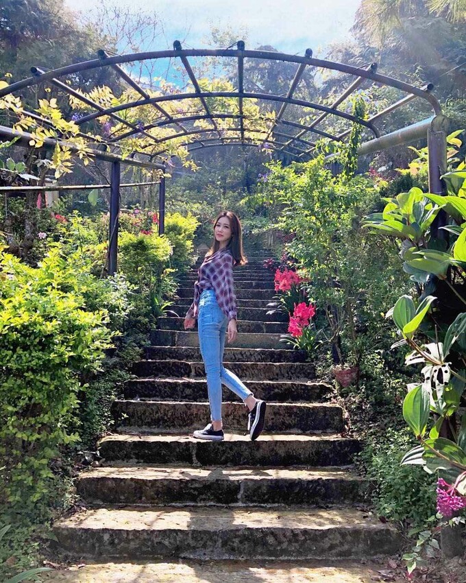 阿里山民宿推薦|星光森林民宿