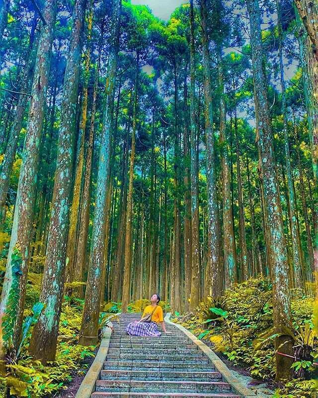 新竹登山步道/馬武督探索森林