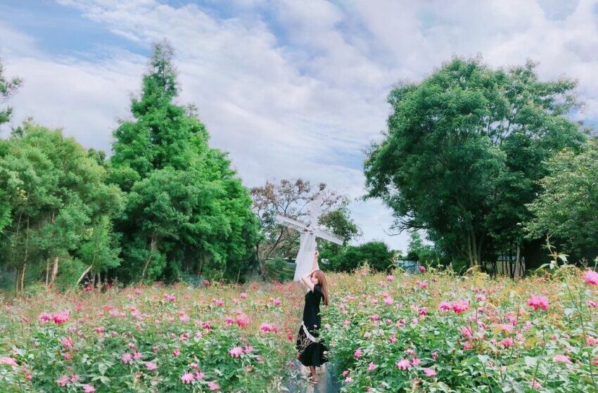 雅聞香草植物工廠