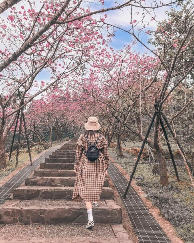 太極美地，從鳳凰自然教育園區可居高臨下俯瞰下方的鹿谷茶鄉景色，與一旁的鳳凰山麓相互映襯，景色俊朗秀麗。