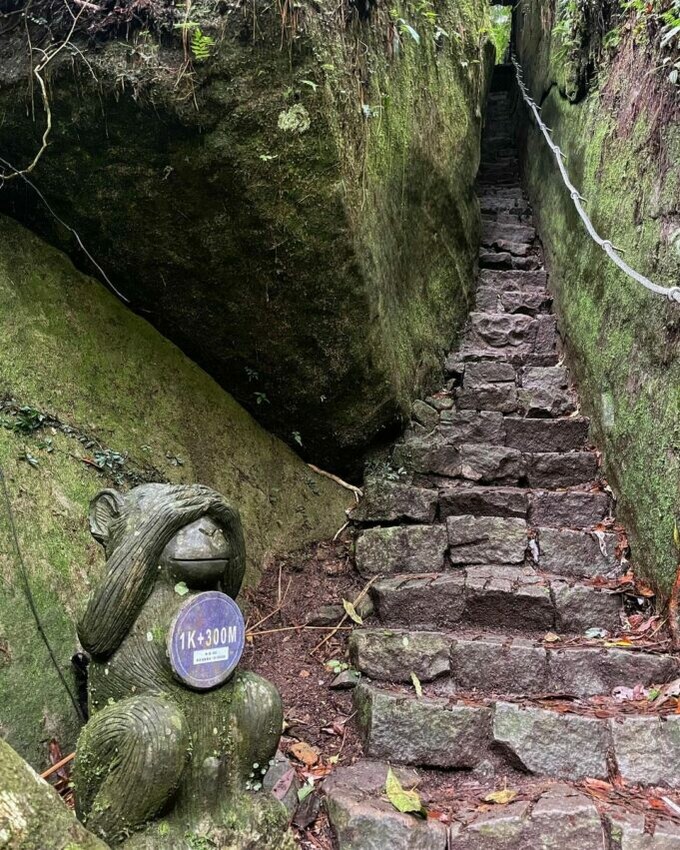 新竹登山步道/馬武督探索森林