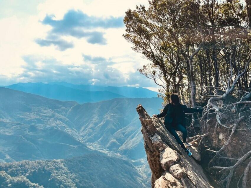新竹登山步道/北得拉曼巨木步道
