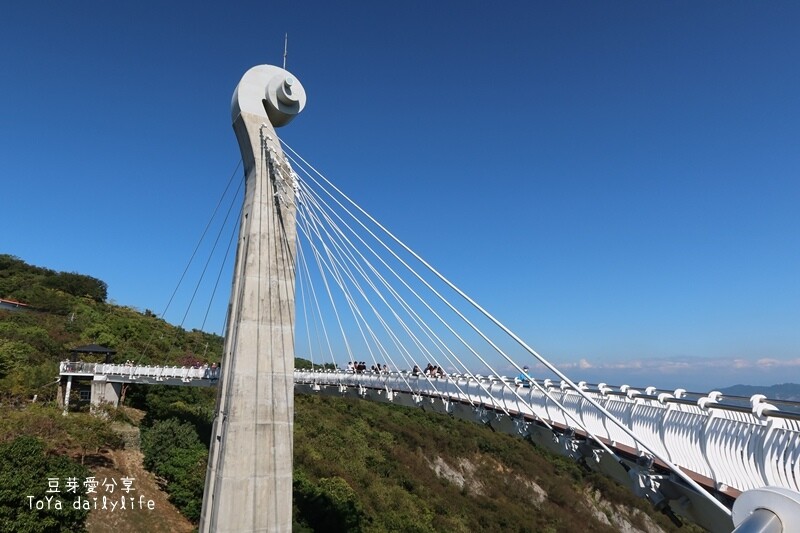 岡山之眼｜天空廊道俯瞰大高雄美景🌱豆芽愛玩在高雄