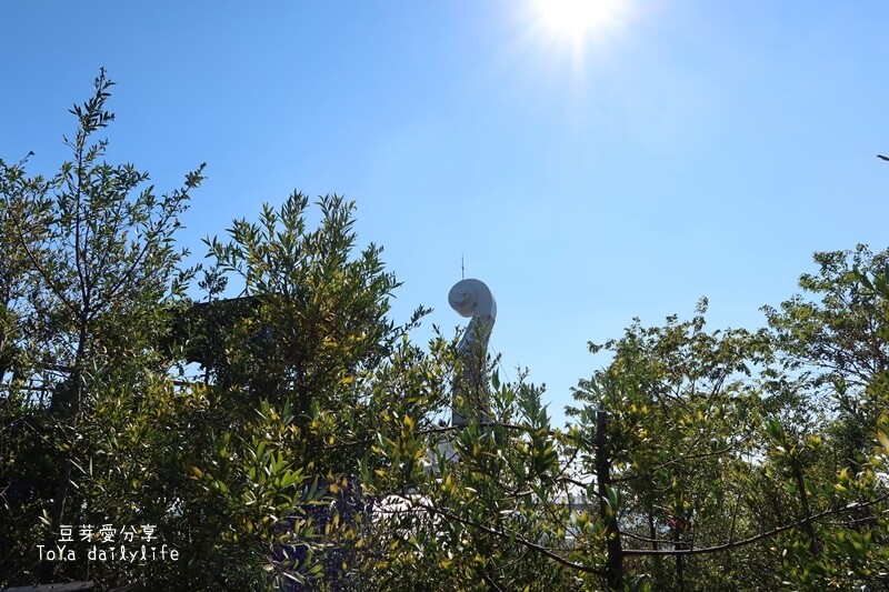 岡山之眼｜天空廊道俯瞰大高雄美景🌱豆芽愛玩在高雄