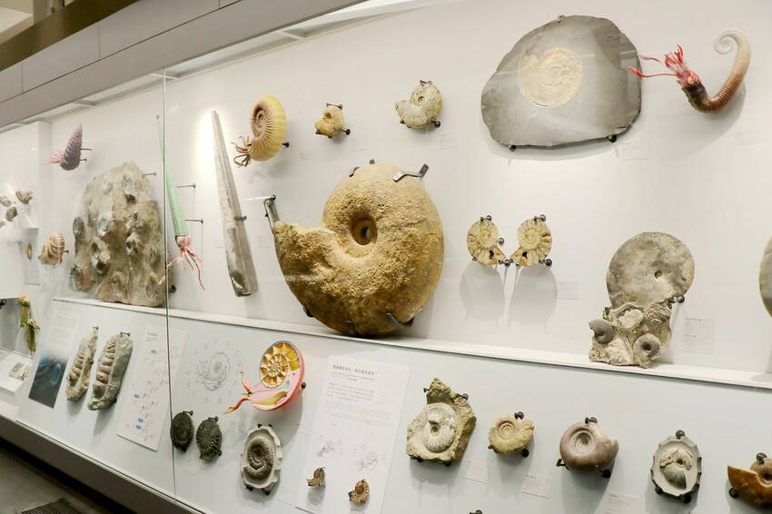 【臺北親子一日遊行程】台北車站周邊這樣玩-北門郵局/ 郵政博物館/北門/撫臺街洋樓/山小孩咖啡/麥食達韓式