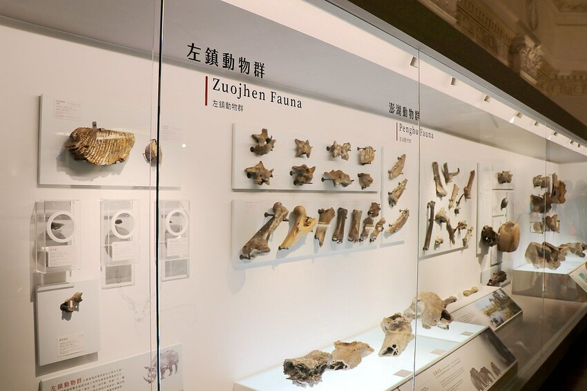 【臺北親子一日遊行程】台北車站周邊這樣玩-北門郵局/ 郵政博物館/北門/撫臺街洋樓/山小孩咖啡/麥食達韓式