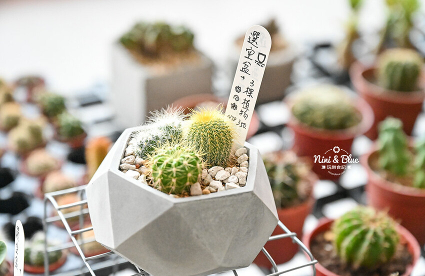 南投最新最夯景點,樹德半山夢工廠-10層樓高、386公尺長環樹步道,TZUMii厝覓DIY家具 -妮妮布魯