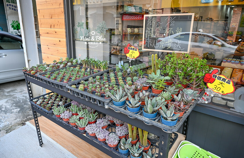 花媽生活工坊 | 雲林斗六日本陶瓷餐具、骨瓷杯、花器、多肉植物、生活雜貨小舖 @Nini and Blue  玩樂食記