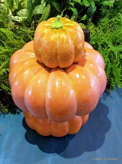 24-311006904_5775116855879405_7339517081812251991_n