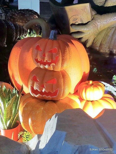 22-310029226_5775178002539957_7809559567549037136_n