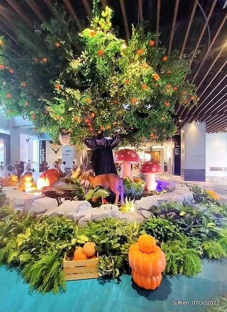 11-310422316_5775117115879379_4536683143569014356_n