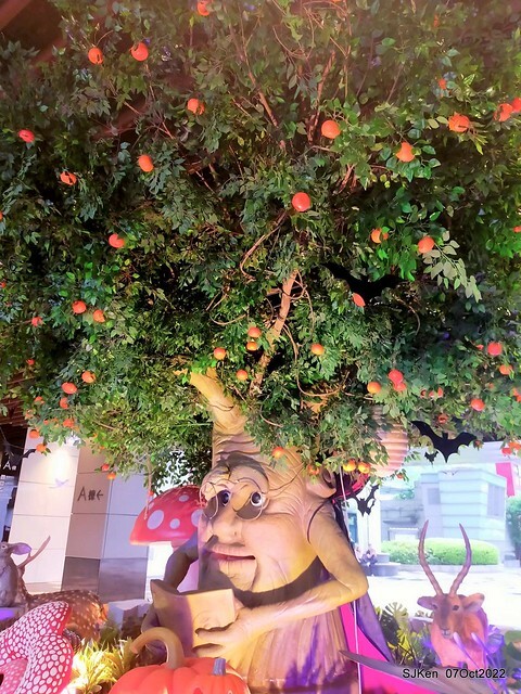 18-309840785_5775157189208705_5981525397624000199_n