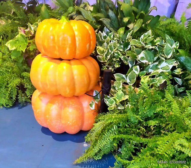 26-310946226_5775119225879168_6339000998732118437_n