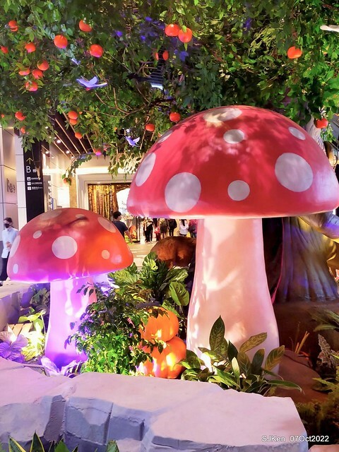 23-309894513_5775225719201852_383196616347652155_n