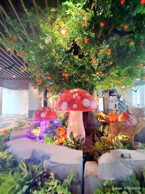 12-309892264_5775236352534122_4022776327604104483_n