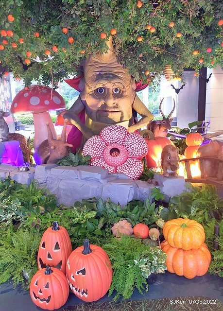 19-309987624_5775122119212212_517484325398431056_n