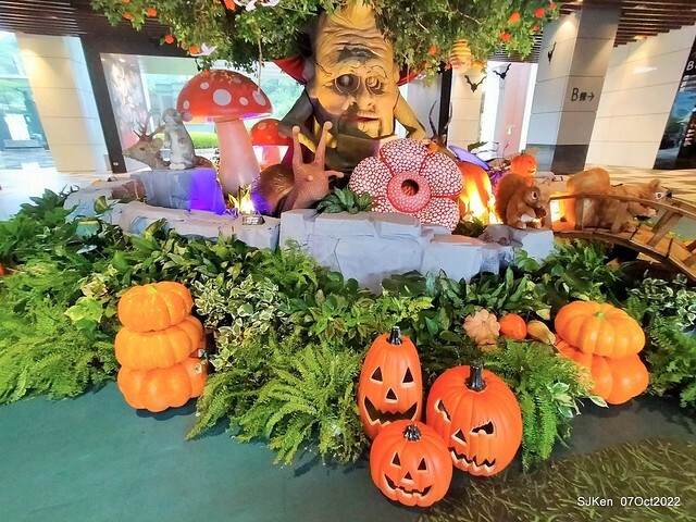 08-309927088_5775139595877131_5591096332479542203_n