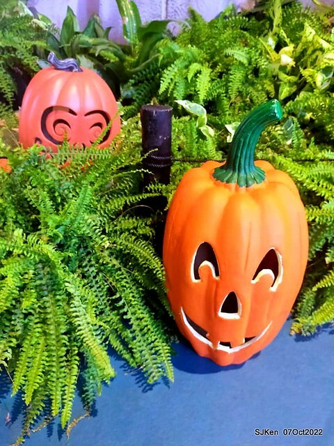 16-310514182_5775118619212562_4213268951545137737_n